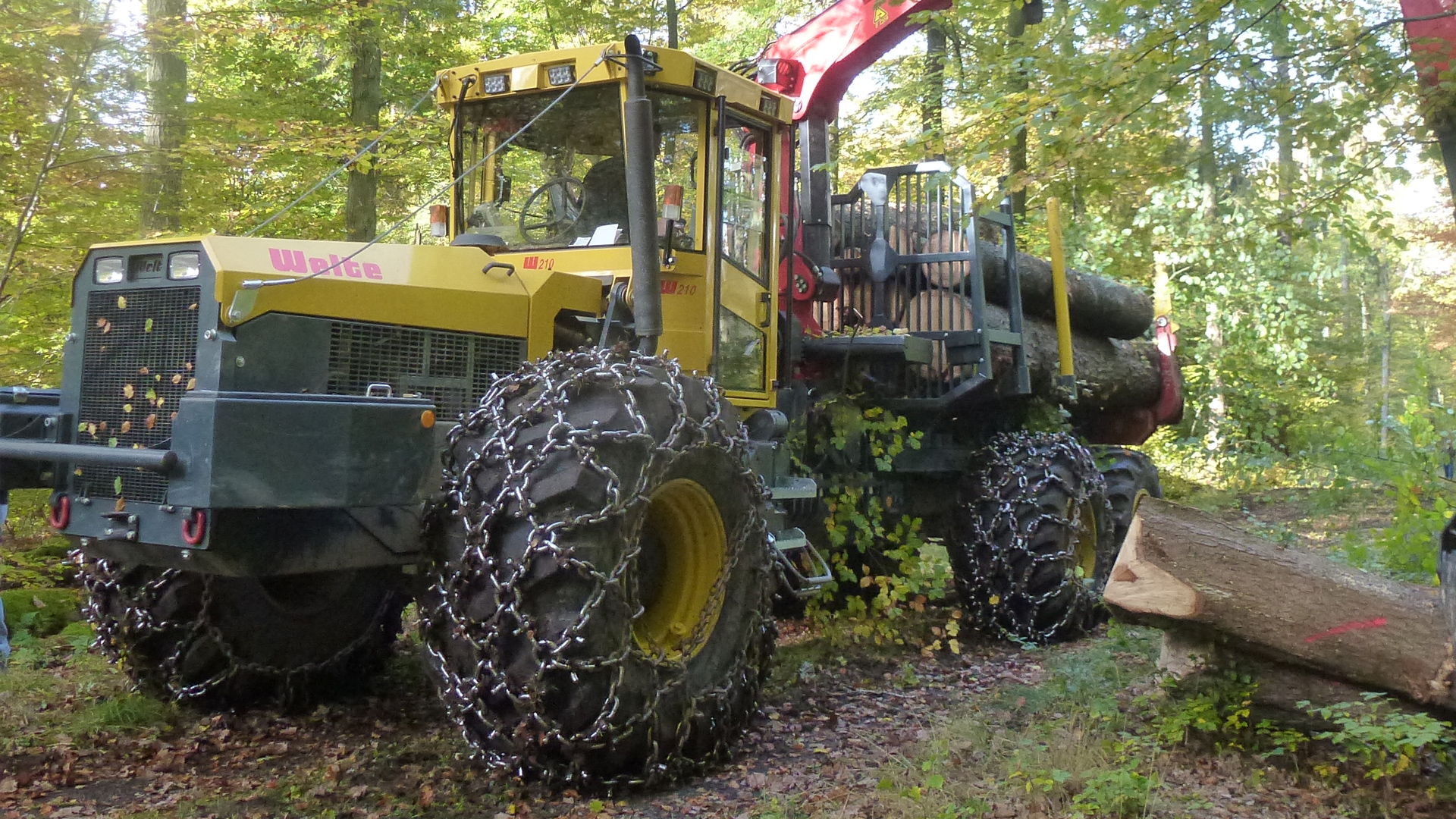 Lion-Group Forst: Logistiker in Forst (Lausitz) versorgen den Rest der Welt  mit Landmaschinen